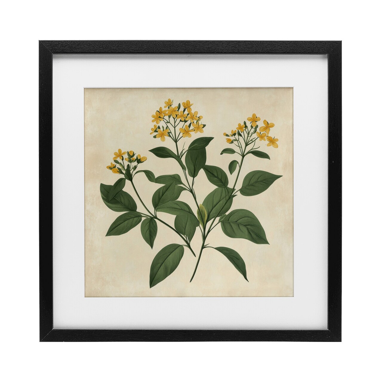 Stupell Industries Yellow Bushels Botanical Illustration Framed Print Under Glass, design by Petal Prints Design